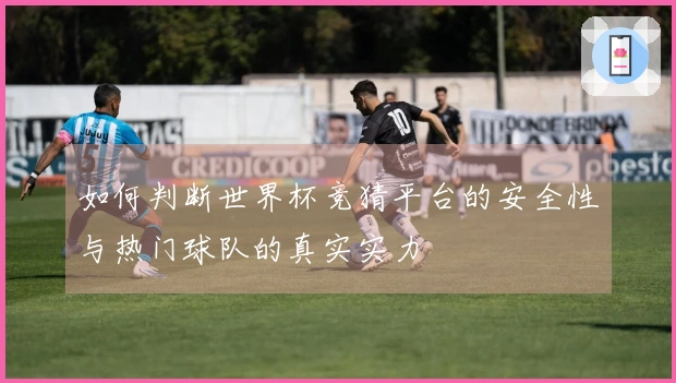 如何判断世界杯竞猜平台的安全性与热门球队的真实实力