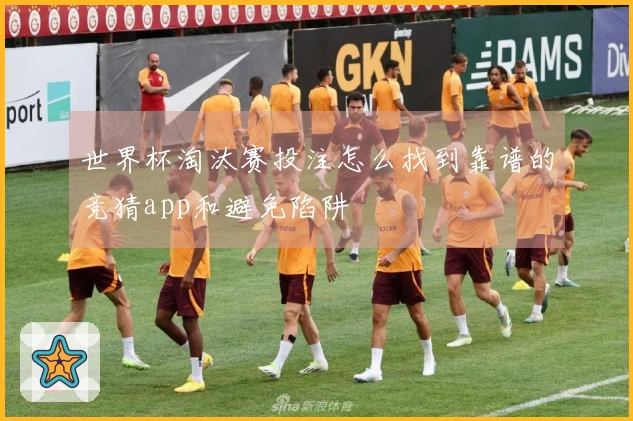 世界杯淘汰赛投注怎么找到靠谱的竞猜app和避免陷阱
