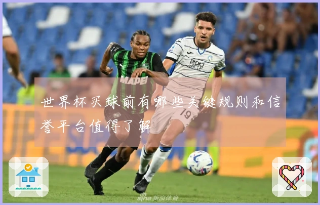 世界杯买球前有哪些关键规则和信誉平台值得了解